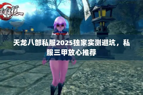 天龙八部私服2025独家实测避坑,私服三甲放心推荐 天龙八部私服2025独家实测避坑,私服三甲放心推荐