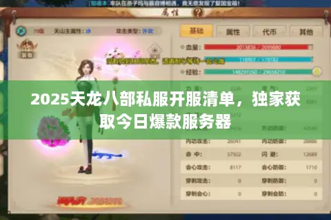 2025天龙八部私服开服清单，独家获取今日爆款服务器