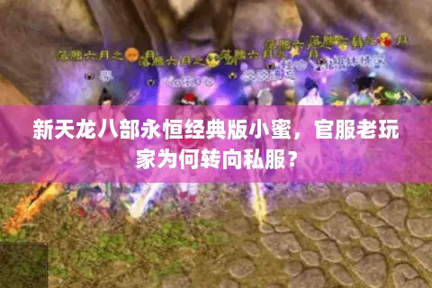新天龙八部永恒经典版小蜜,官服老玩家为何转向私服? 新天龙八部永恒经典版小蜜,官服老玩家为何转向私服?