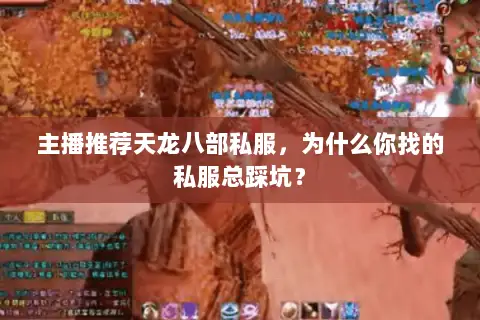 主播推荐天龙八部私服,为什么你找的私服总踩坑? 主播推荐天龙八部私服,为什么你找的私服总踩坑?