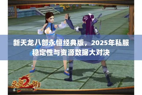 新天龙八部永恒经典版,2025年私服稳定性与资源数据大对决 新天龙八部永恒经典版,2025年私服稳定性与资源数据大对决