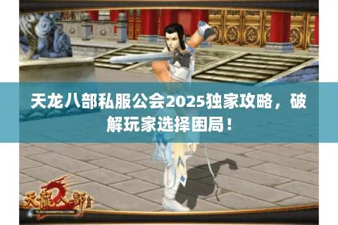 天龙八部私服公会2025独家攻略,破解玩家选择困局! 天龙八部私服公会2025独家攻略,破解玩家选择困局!