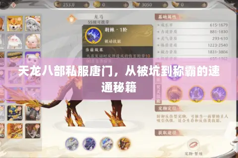 天龙八部私服唐门,从被坑到称霸的速通秘籍 天龙八部私服唐门,从被坑到称霸的速通秘籍