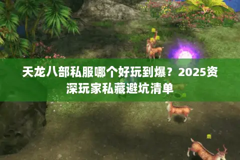 天龙八部私服哪个好玩到爆?2025资深玩家私藏避坑清单 天龙八部私服哪个好玩到爆?2025资深玩家私藏避坑清单
