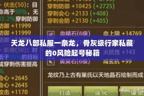 天龙八部私服一条龙,骨灰级行家私藏的0风险起号秘籍 天龙八部私服一条龙,骨灰级行家私藏的0风险起号秘籍