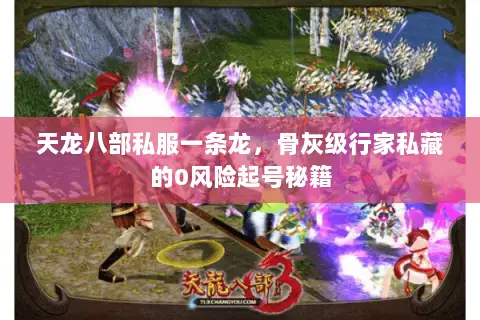 天龙八部私服一条龙,骨灰级行家私藏的0风险起号秘籍 天龙八部私服一条龙,骨灰级行家私藏的0风险起号秘籍