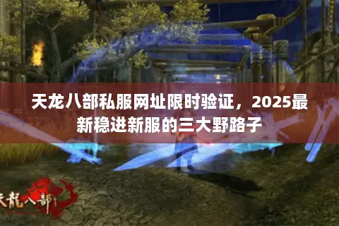 天龙八部私服网址限时验证,2025最新稳进新服的三大野路子 天龙八部私服网址限时验证,2025最新稳进新服的三大野路子