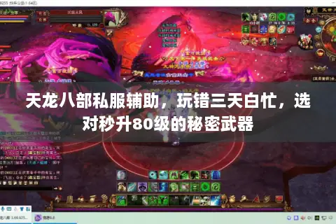 天龙八部私服辅助，玩错三天白忙，选对秒升80级的秘密武器