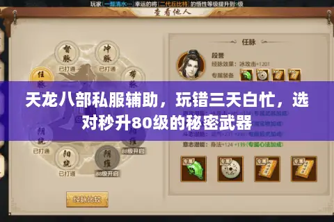 天龙八部私服辅助，玩错三天白忙，选对秒升80级的秘密武器