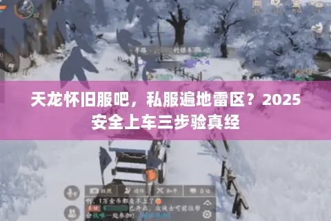 天龙怀旧服吧，私服遍地雷区？2025安全上车三步验真经