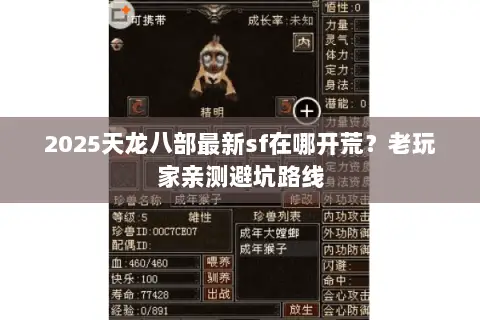 2025天龙八部最新sf在哪开荒?老玩家亲测避坑路线 2025天龙八部最新sf在哪开荒?老玩家亲测避坑路线