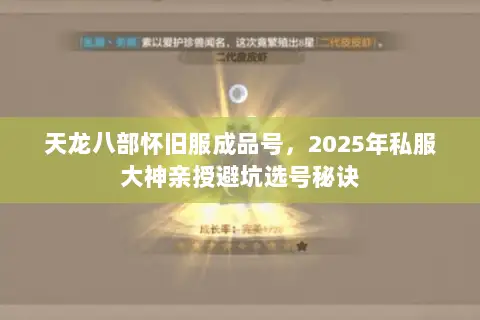 天龙八部怀旧服成品号，2025年私服大神亲授避坑选号秘诀