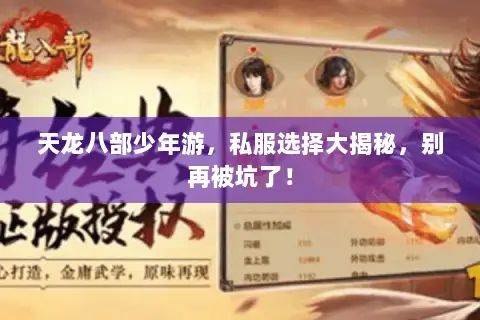 天龙八部少年游,私服选择大揭秘,别再被坑了! 天龙八部少年游,私服选择大揭秘,别再被坑了!