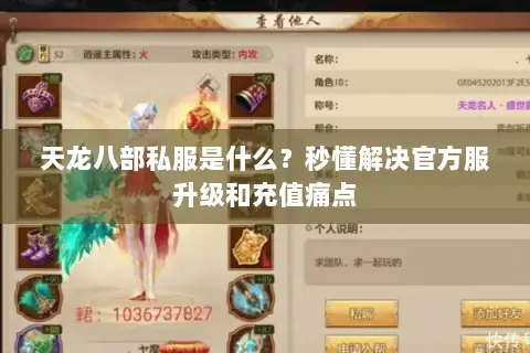 天龙八部私服是什么?秒懂解决官方服升级和充值痛点 天龙八部私服是什么?秒懂解决官方服升级和充值痛点