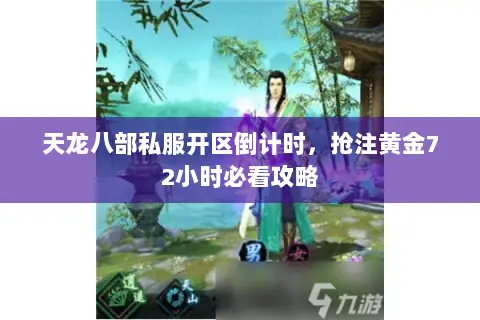 天龙八部私服开区倒计时,抢注黄金72小时必看攻略 天龙八部私服开区倒计时,抢注黄金72小时必看攻略