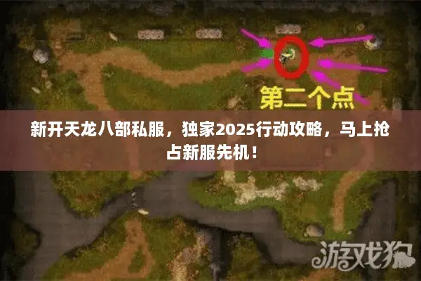 新开天龙八部私服,独家2025行动攻略,马上抢占新服先机! 新开天龙八部私服,独家2025行动攻略,马上抢占新服先机!