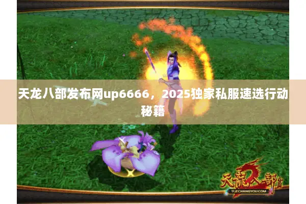 天龙八部发布网up6666,2025独家私服速选行动秘籍 天龙八部发布网up6666,2025独家私服速选行动秘籍