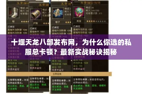 十堰天龙八部发布网，为什么你选的私服总卡顿？最新实战秘诀揭秘