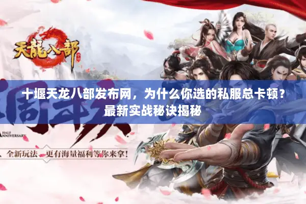 十堰天龙八部发布网，为什么你选的私服总卡顿？最新实战秘诀揭秘