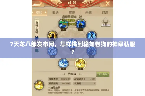 7天龙八部发布网，怎样挑到稳如老狗的神级私服？