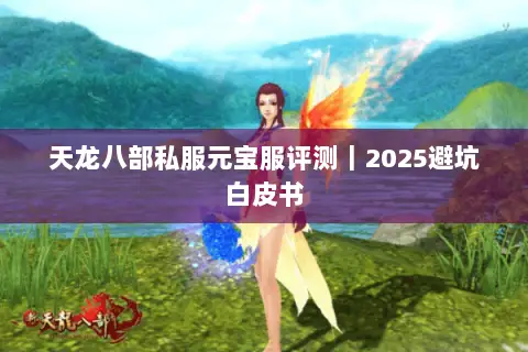 天龙八部私服元宝服评测｜2025避坑白皮书