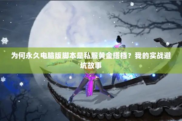 为何永久电脑版脚本是私服黄金搭档？我的实战避坑故事