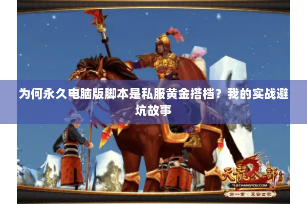 为何永久电脑版脚本是私服黄金搭档？我的实战避坑故事
