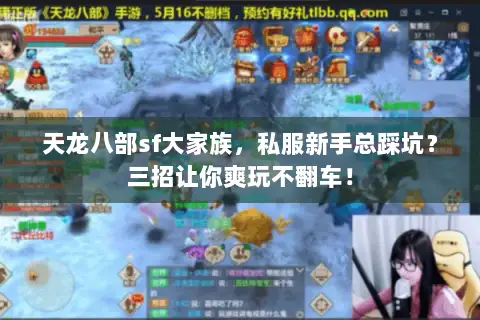天龙八部sf大家族,私服新手总踩坑?三招让你爽玩不翻车! 天龙八部sf大家族,私服新手总踩坑?三招让你爽玩不翻车!