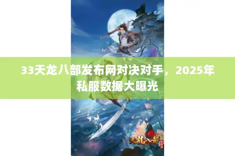 33天龙八部发布网对决对手，2025年私服数据大曝光