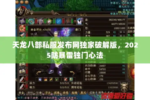天龙八部私服发布网独家破解版，2025防暴雷独门心法