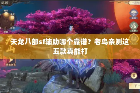天龙八部sf辅助哪个靠谱?老鸟亲测这五款真能打 天龙八部sf辅助哪个靠谱?老鸟亲测这五款真能打