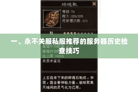 一、永不关服私服推荐的服务器历史检查技巧