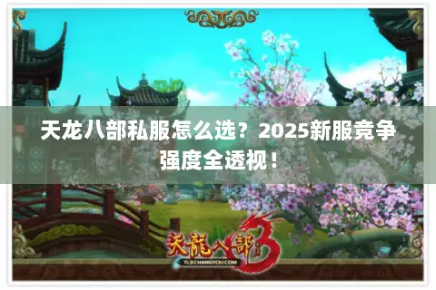 天龙八部私服怎么选?2025新服竞争强度全透视! 天龙八部私服怎么选?2025新服竞争强度全透视!