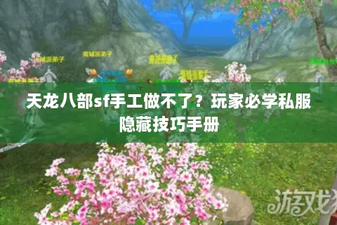 天龙八部sf手工做不了?玩家必学私服隐藏技巧手册 天龙八部sf手工做不了?玩家必学私服隐藏技巧手册