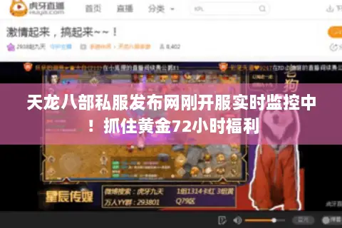天龙八部私服发布网刚开服实时监控中!抓住黄金72小时福利 天龙八部私服发布网刚开服实时监控中!抓住黄金72小时福利