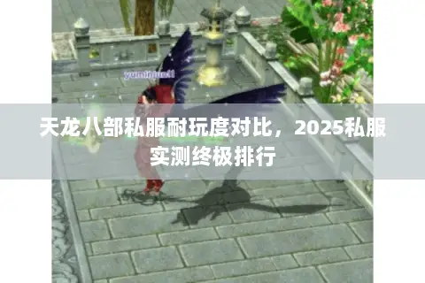 天龙八部私服耐玩度对比,2025私服实测终极排行 天龙八部私服耐玩度对比,2025私服实测终极排行