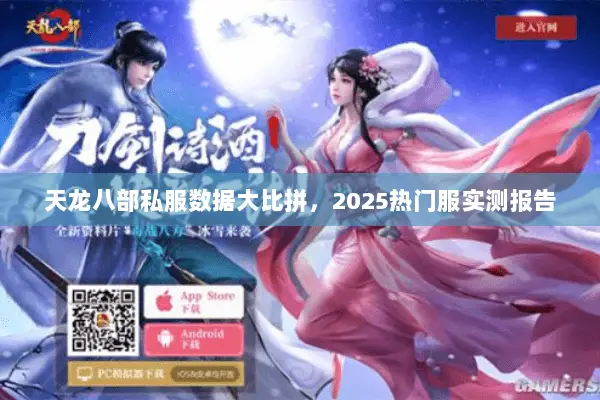 天龙八部私服数据大比拼，2025热门服实测报告