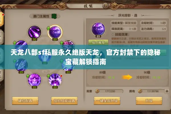 天龙八部sf私服永久绝版天龙,官方封禁下的隐秘宝藏解锁指南 天龙八部sf私服永久绝版天龙,官方封禁下的隐秘宝藏解锁指南