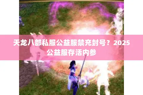 天龙八部私服公益服禁充封号?2025公益服存活内参 天龙八部私服公益服禁充封号?2025公益服存活内参