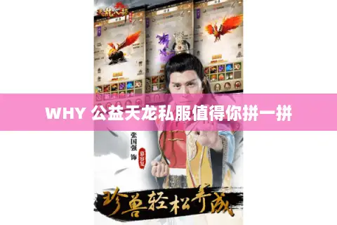 WHY 公益天龙私服值得你拼一拼