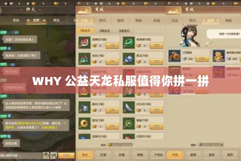 WHY 公益天龙私服值得你拼一拼
