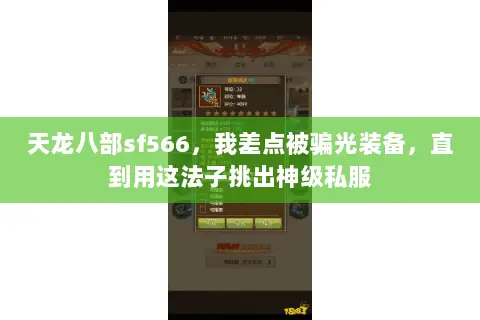 天龙八部sf566，我差点被骗光装备，直到用这法子挑出神级私服