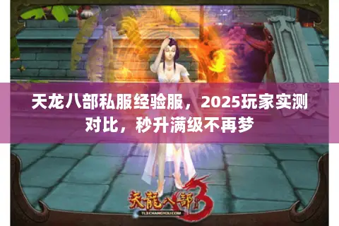 天龙八部私服经验服,2025玩家实测对比,秒升满级不再梦 天龙八部私服经验服,2025玩家实测对比,秒升满级不再梦