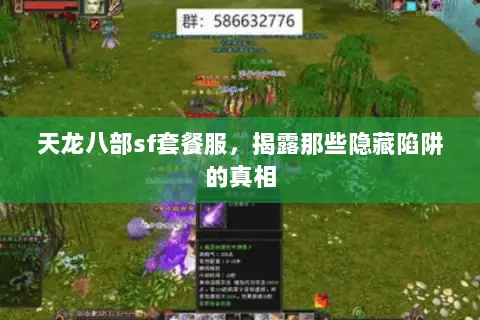 天龙八部sf套餐服，揭露那些隐藏陷阱的真相