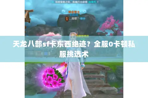 天龙八部sf卡东西绝迹？全服0卡顿私服挑选术