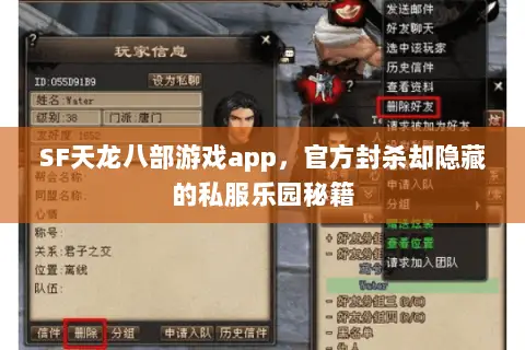 SF天龙八部游戏app,官方封杀却隐藏的私服乐园秘籍 SF天龙八部游戏app,官方封杀却隐藏的私服乐园秘籍