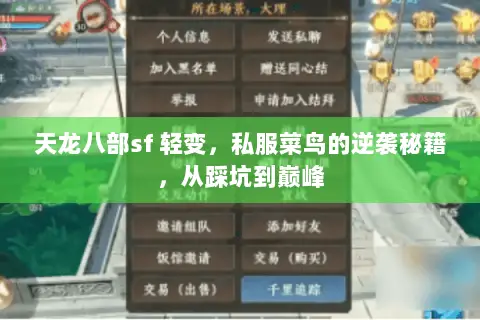 天龙八部sf 轻变,私服菜鸟的逆袭秘籍,从踩坑到巅峰 天龙八部sf 轻变,私服菜鸟的逆袭秘籍,从踩坑到巅峰