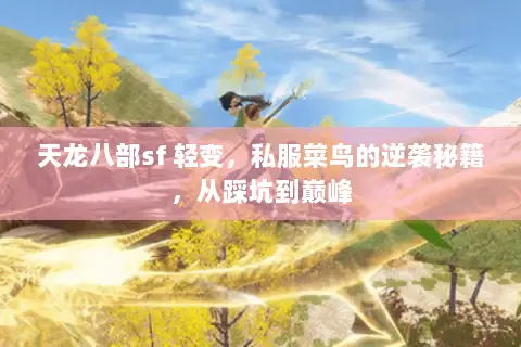天龙八部sf 轻变,私服菜鸟的逆袭秘籍,从踩坑到巅峰 天龙八部sf 轻变,私服菜鸟的逆袭秘籍,从踩坑到巅峰