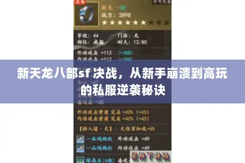 新天龙八部sf 决战,从新手崩溃到高玩的私服逆袭秘诀 新天龙八部sf 决战,从新手崩溃到高玩的私服逆袭秘诀