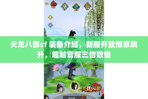 天龙八部sf 装备介绍，新服开放爆率飙升，超越官服三倍数值